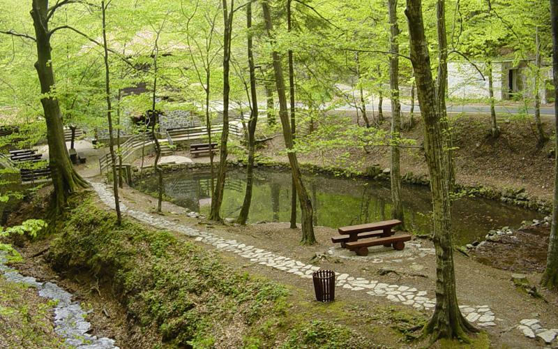 Kraljičin zdenac